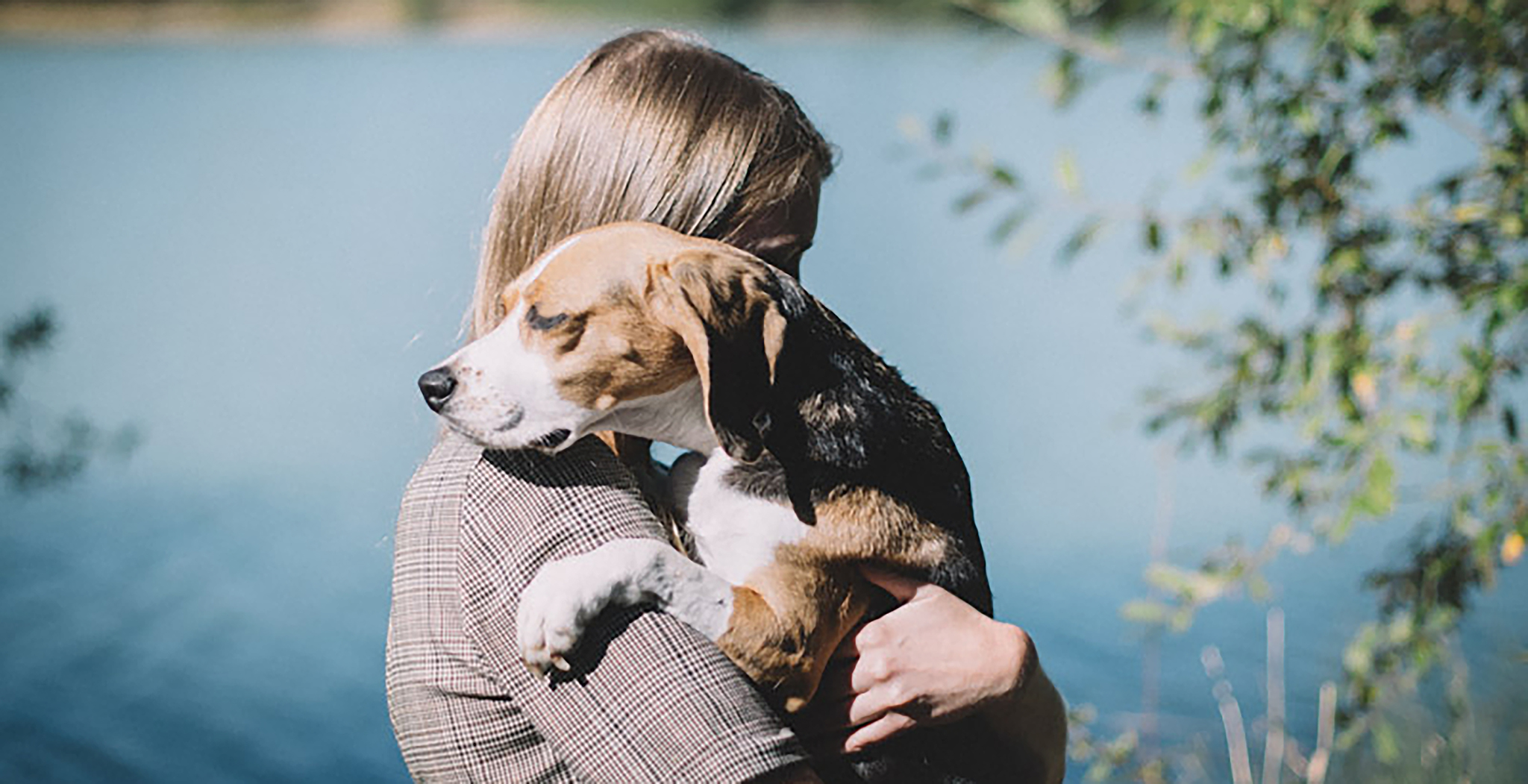 anima care pour toujours centre de recherche fin de vie des animaux direction artistique
